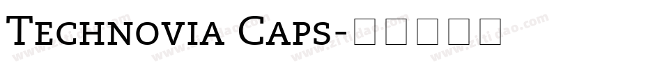 Technovia Caps字体转换